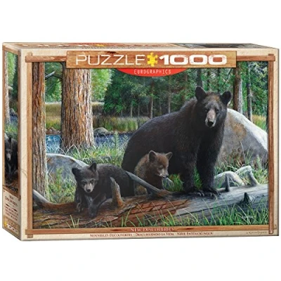 Afbeelding van Eurographics NEW Discoveries Puzzel voor kinderen, Maat: One Size, Multi coloured