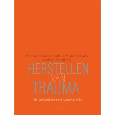 Afbeelding van Herstellen van trauma