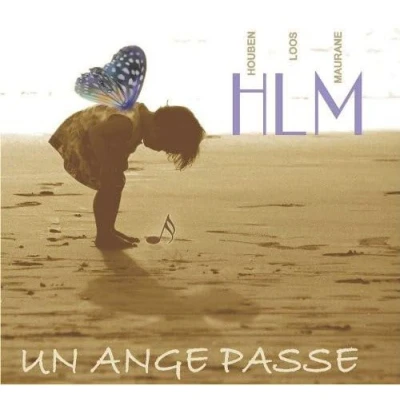Afbeelding van Charles Loos, Steve Houben &amp; Maurane Un Ange Passe (CD)