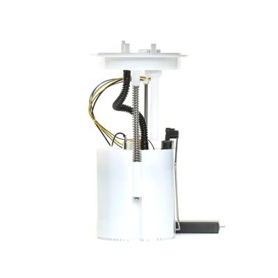 Afbeelding van Brandstoftoevoereenheid DELPHI FG0989 12B1