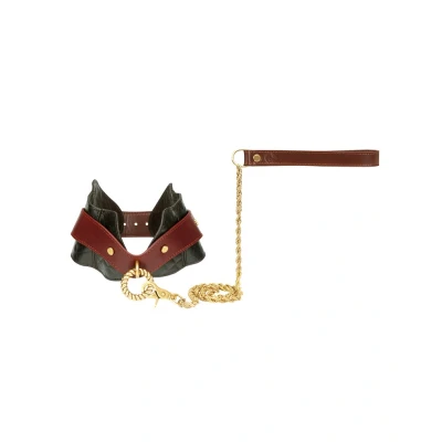 Afbeelding van Postuurhalsband met riem Liebe Seele