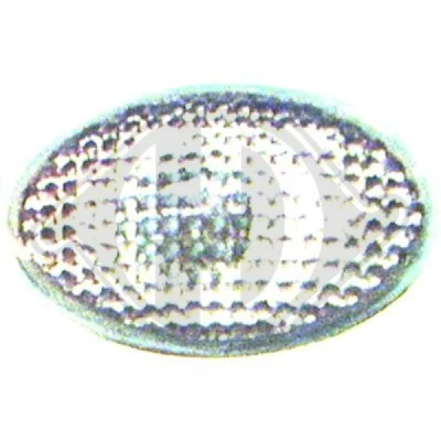 Afbeelding van DIEDERICHS HD Tuning 1812077 Knipperlichten Wit inbouw Aan zijkant, beide zijden Zonder lamphouder OPEL: Corsa C Hatchback, Astra F Saloon