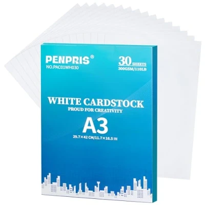 Afbeelding van Wit karton 300 g/m² 30 vellen dik A3 voor het maken van kaarten, uitnodigingen, ansichtkaarten, visitekaartjes PAC01WH030