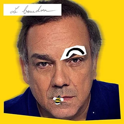 Afbeelding van Didier Bourdon Le (CD)