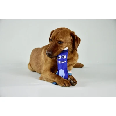 Afbeelding van Wolters hondenspeelgoed dummy training apporteerspeelgoed blauw maat 31cm