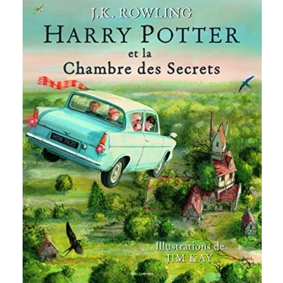 Afbeelding van Harry Potter et la chambre des sercets, illustre par Jim Kay