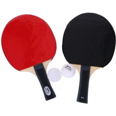 Afbeelding van Lifetime Tafeltennis Set 4 Delig: Complete Pingpong voor Thuis en op Vakantie