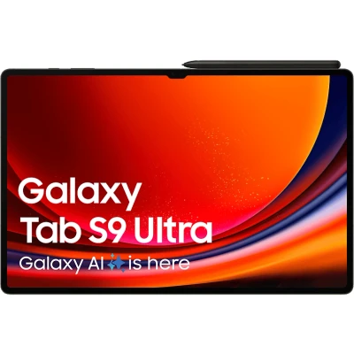 Image de Samsung Galaxy Tab S9 Ultra WiFi 256GB X910 Gris