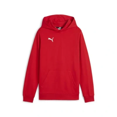 Afbeelding van PUMA Teamgoal Casuals Jr trui met capuchon voor jongens