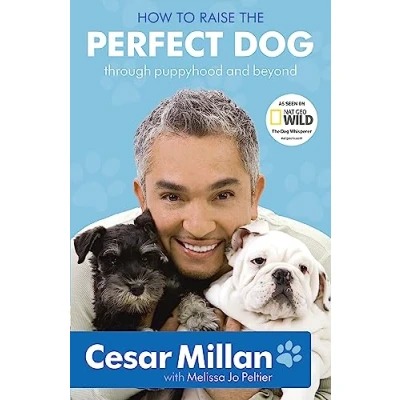 Afbeelding van How To Raise The Perfect Dog