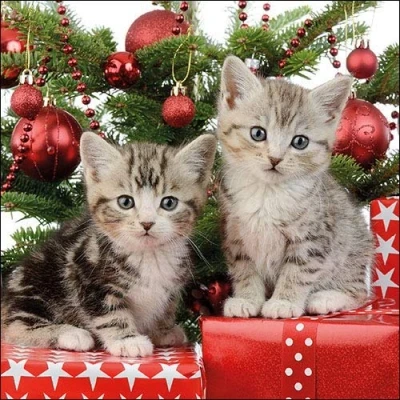 Afbeelding van Ambiente Christmas Kitten papieren lunch servetten 33x33cm 20