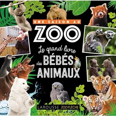 Afbeelding van ISBN 9782036029118 boek Kinderen Frans 80 pagina&#039;s