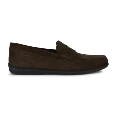Afbeelding van Geox U Ascanio C MoccasinHomme, Donkerbruin