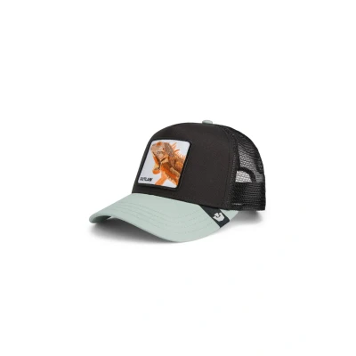 Afbeelding van Goorin Bros Trucker THE Outlaw Lizard VOID Shade Pet, Heren, Maat: One Size, Black