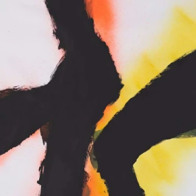 Afbeelding van Rob &amp; Emmett Kelly Mazurek Alien Flower Sutra (LP)