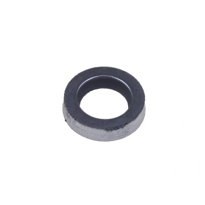 Image de Karcher Joint a levres 63653410