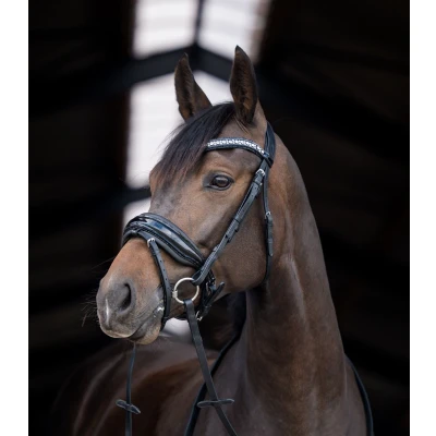 Image de HB Bride Showtime Stockholm Noir/Noir A Poney