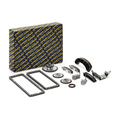 Afbeelding van Distributiekettingset JAPANPARTS KDK H00