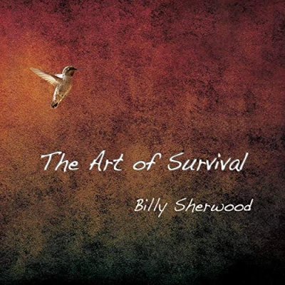 Afbeelding van The Art Of Survival