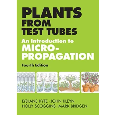 Afbeelding van Plants From Test Tubes