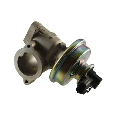 Afbeelding van Hella EGR klep 6NU 010 171 041