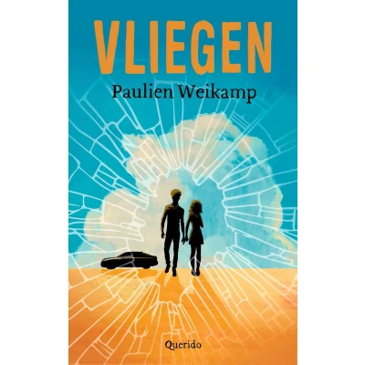 Afbeelding van Vliegen