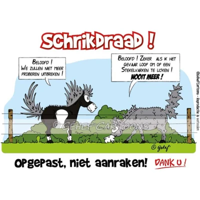Afbeelding van HB Stalplaat Schrikdraad