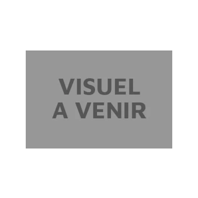 Image de Numero d art lignes colorees portraits Harry Potter moyen modele