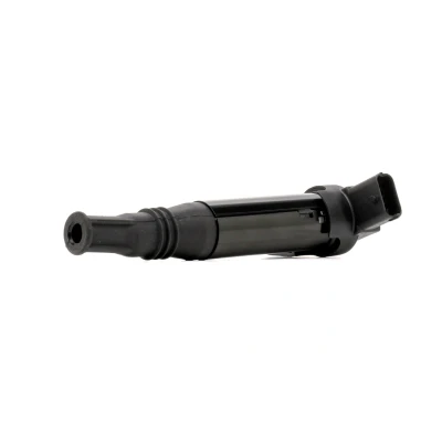 Afbeelding van Bobine MAGNETI MARELLI 060717188012