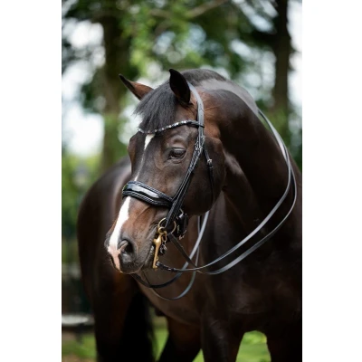 Afbeelding van HB Showtime Stang en Trenshoofdstel Special for You Zwart/Grey Glitter Full Agradi.be