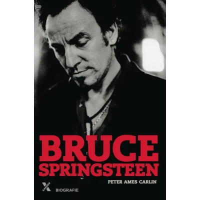 Afbeelding van Bruce Springsteen