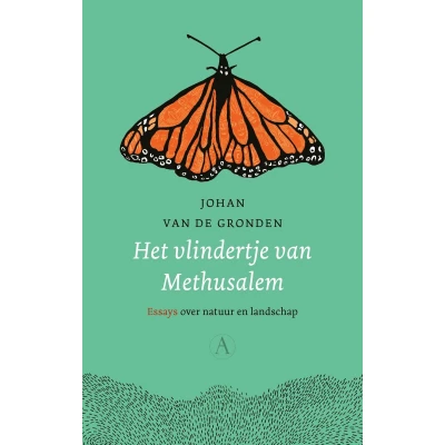Afbeelding van Het vlindertje van Methusalem
