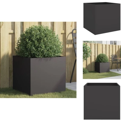 Afbeelding van Plantenbak 49x47x46 cm koudgewalst staal zwart