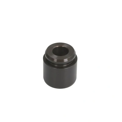 Afbeelding van Zuiger, remklauw AUTOFREN SEINSA D025366