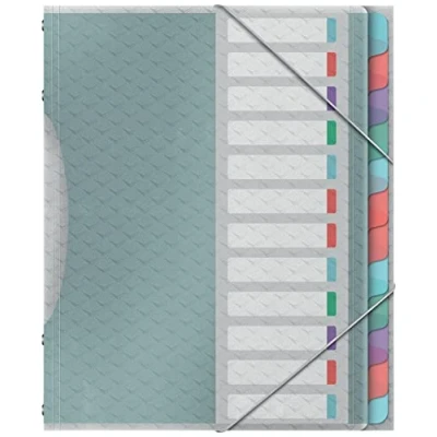 Afbeelding van Esselte Colour&#039;Breeze sorteermap, PP, ft A4, 12 tabs, assorti voorordner
