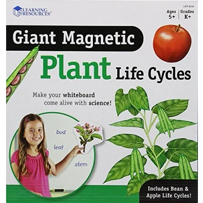 Afbeelding van Reuze magnetische levenscyclus van een plant
