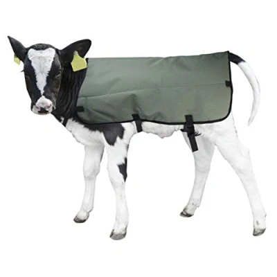 Afbeelding van Kalverdek calf coat 70 cm