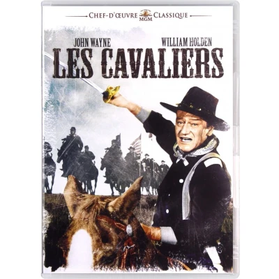 Afbeelding van The Horse Soldiers [DVD]