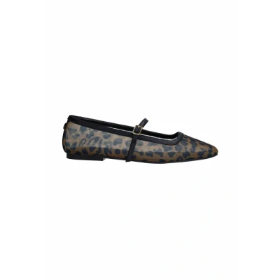 Afbeelding van Sacha Dames Leopard mesh ballerina&#039;s Maat 37