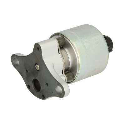 Afbeelding van EGR klep DELPHI EG10397