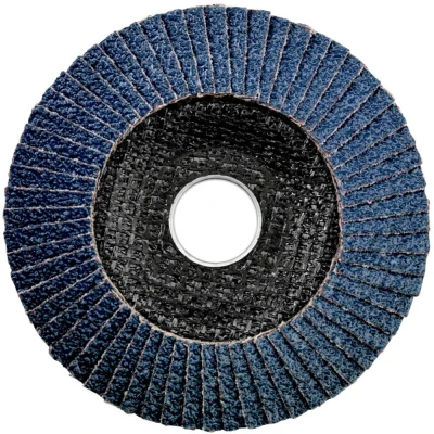 Afbeelding van Metabo 623145000 Lamellenschijf Boordiameter 22.23 mm 10 stuk(s)