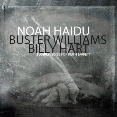 Afbeelding van Noah Haidu Trio Equilateral (CD)