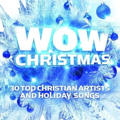 Afbeelding van Various Artists Wow Christmas Blue (2 CD)