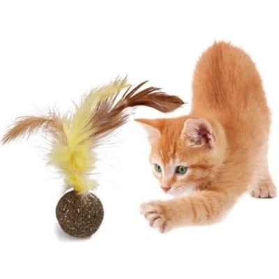 Afbeelding van New Age Devi Kattenkruid Balletje Met Veer Leuk &amp; Lekker Kattenspeelgoed Speelgoed Voor Katten
