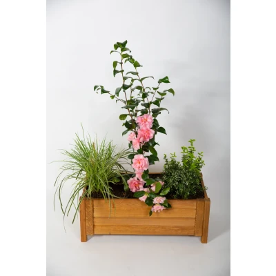 Afbeelding van Houten Plantenbak rechthoek