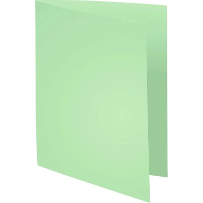 Afbeelding van Exacompta dossiermap Forever 180, ft A4, pak van 100, vert 5 stuks