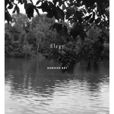 Afbeelding van Dawoud Bey: Elegy