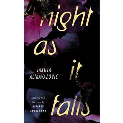 Afbeelding van Night as It Falls