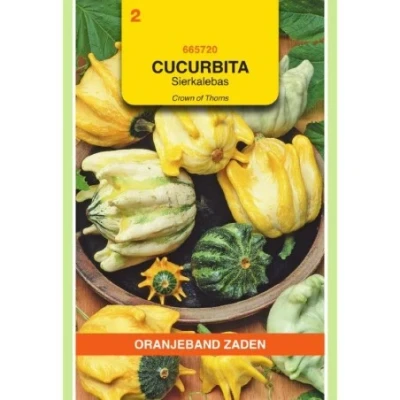 Afbeelding van Cucurbita sierkalebas crowns of thorns gemengd