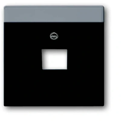Afbeelding van Busch Jaeger mat zwarte centraalplaat voor datadoos 1 x RJ45 1803 885